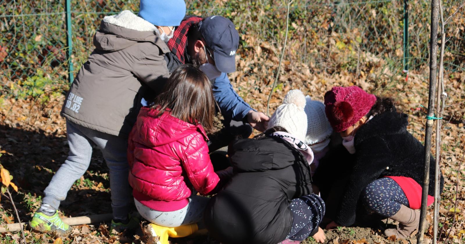 Un lunedì per celebrare gli alberi