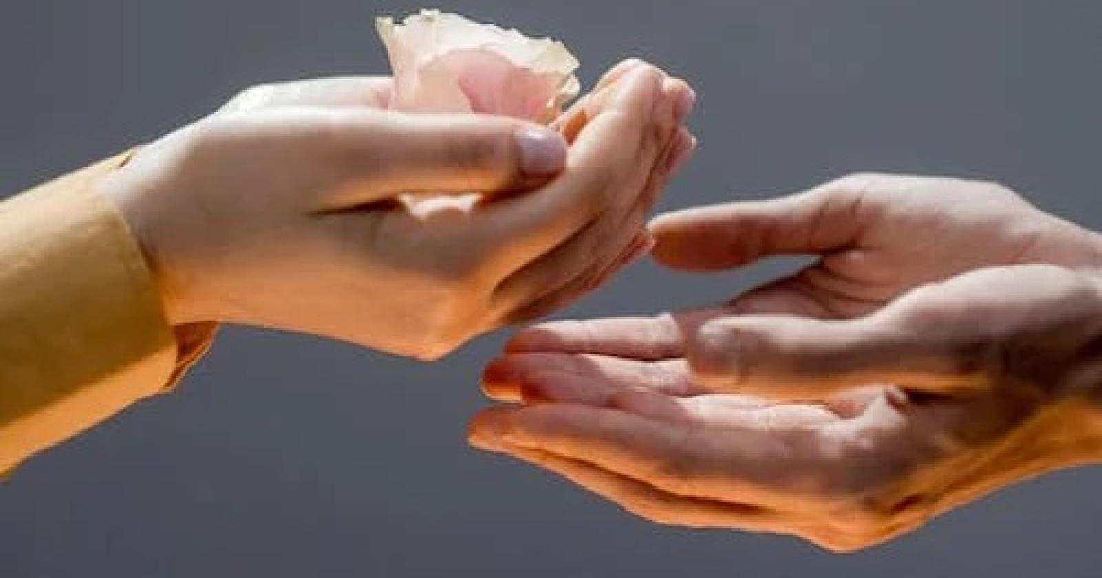 ConArte e Comune, nasce il premio gentilezza