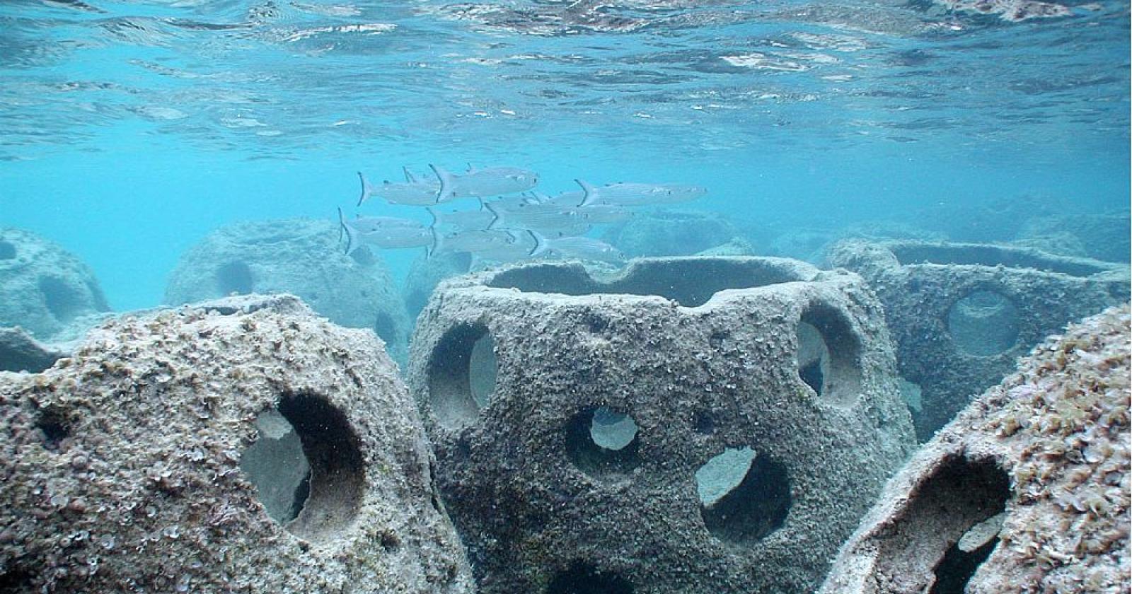 Le ceneri nelle "reef ball", Chioggia ci prova