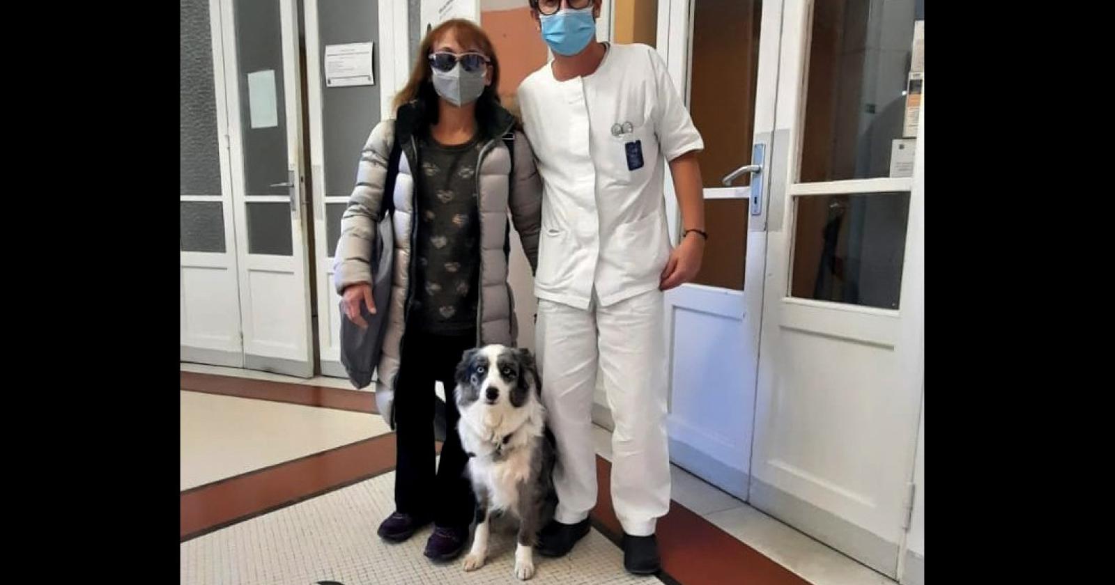 La padrona ha una crisi, il cane le porta le medicine