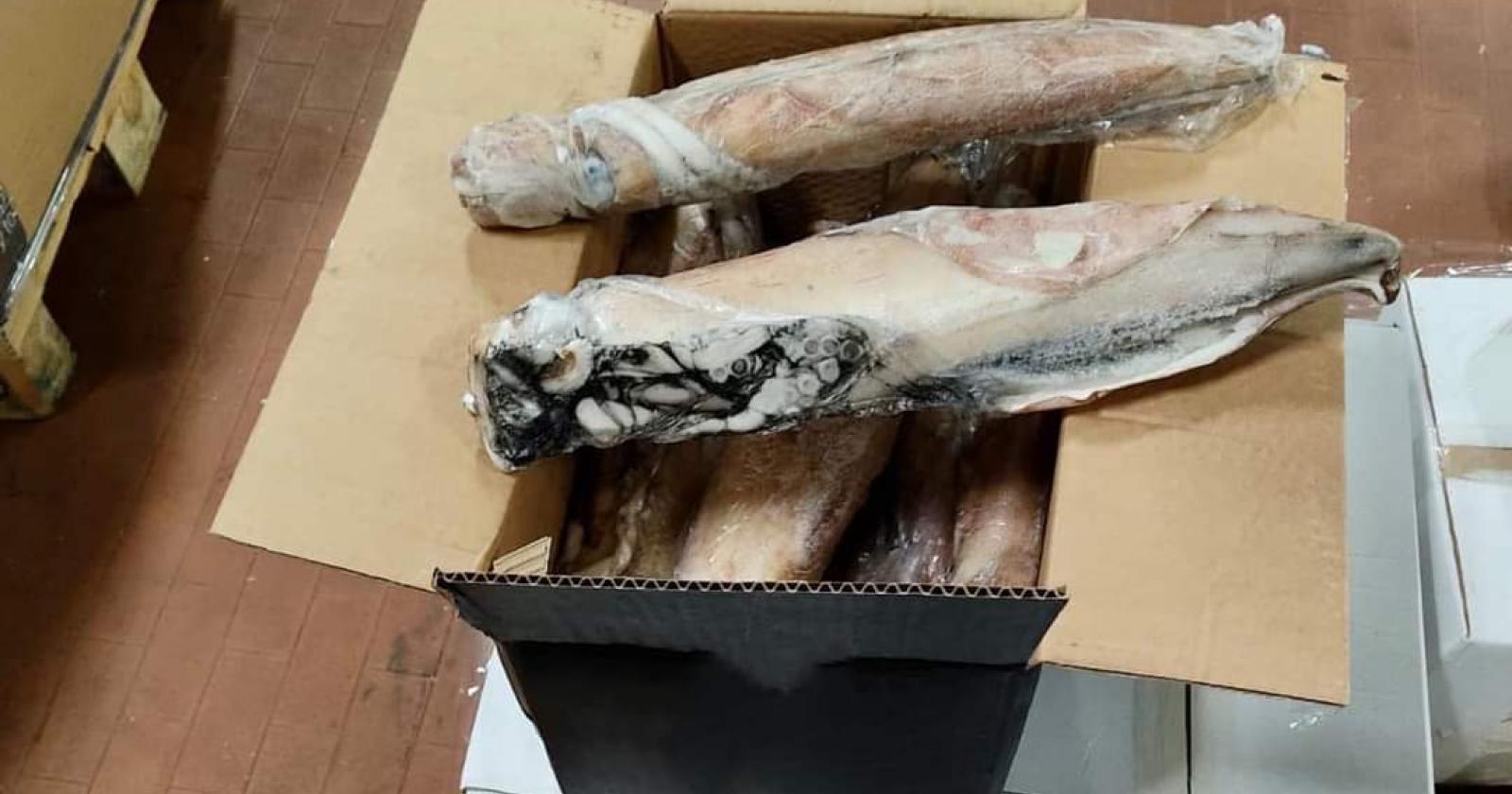 Sequestrati 1.500 chili di pesce surgelato scaduto