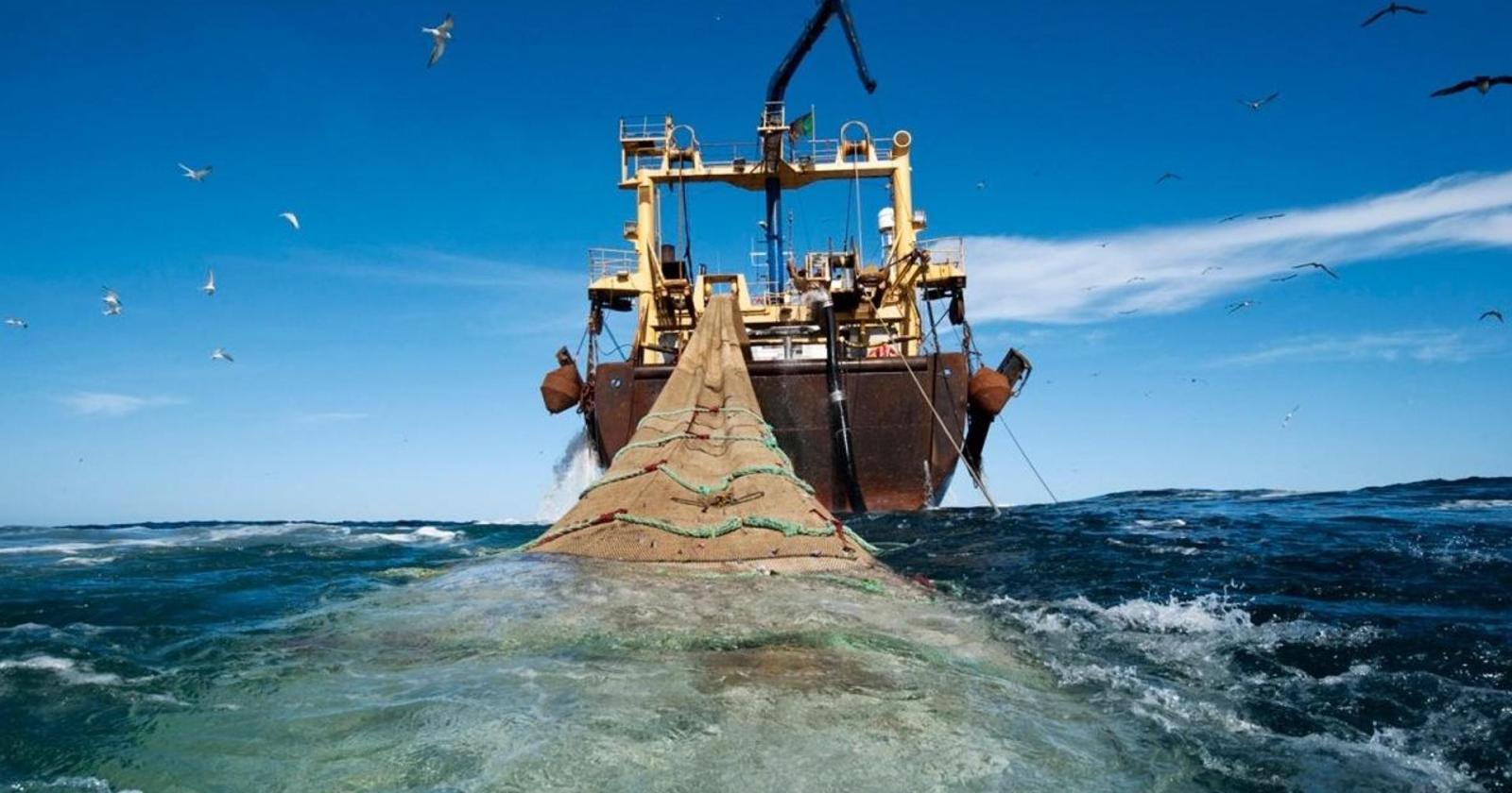 Fedagripesca, dalla filiera ittica 50mila nuovi posti di lavoro