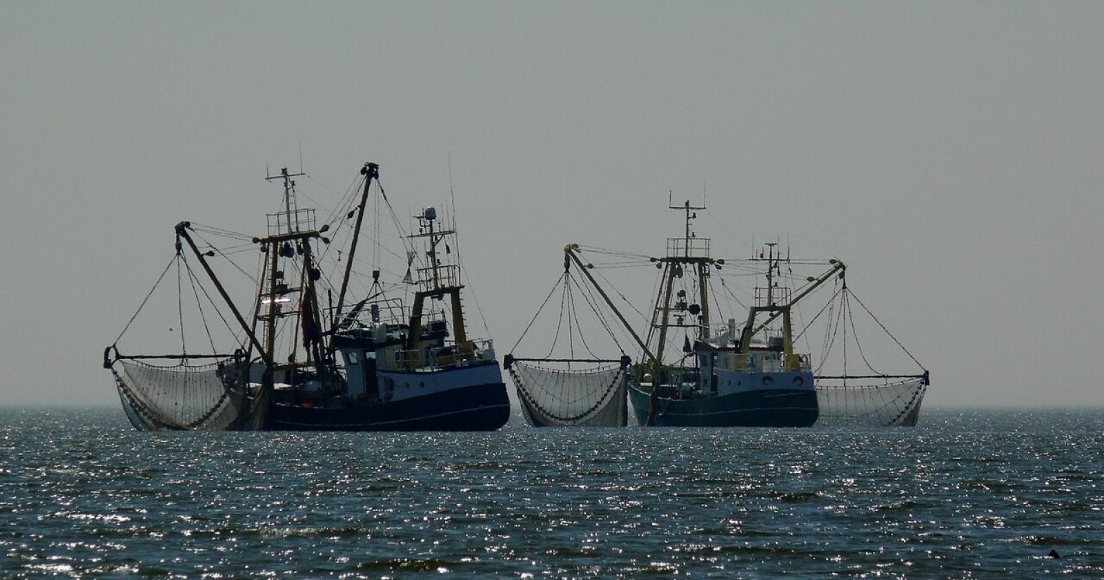 Nasce dall'Italia il fronte europeo che vuol salvare la pesca a strascico