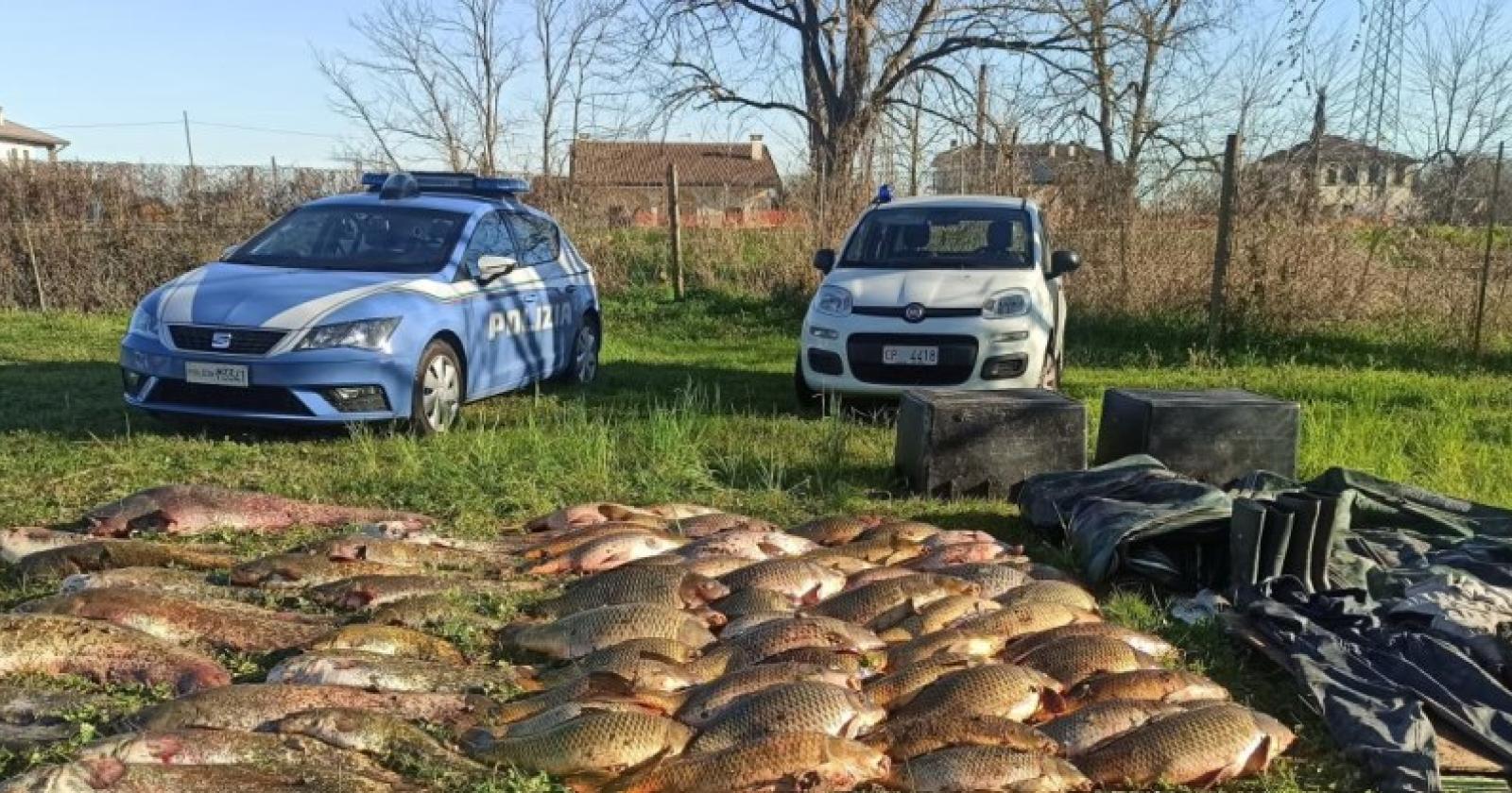 Bracconieri in azioni, sequestrato 600 chili di pesce
