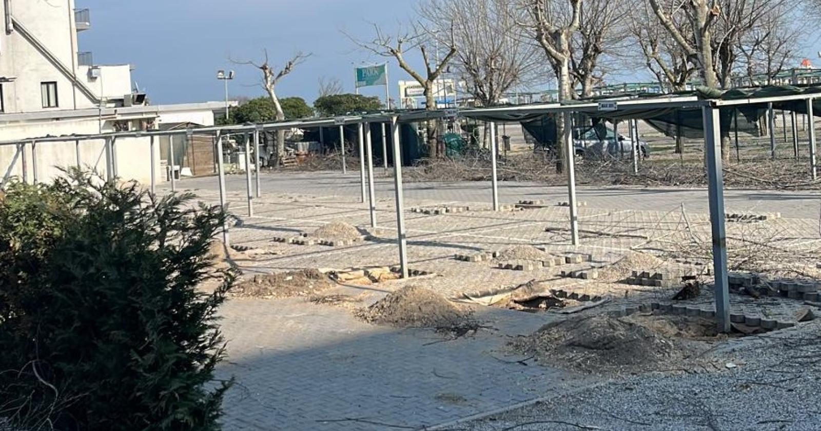 Tagliati 6 alberi senza l’ok del Comune