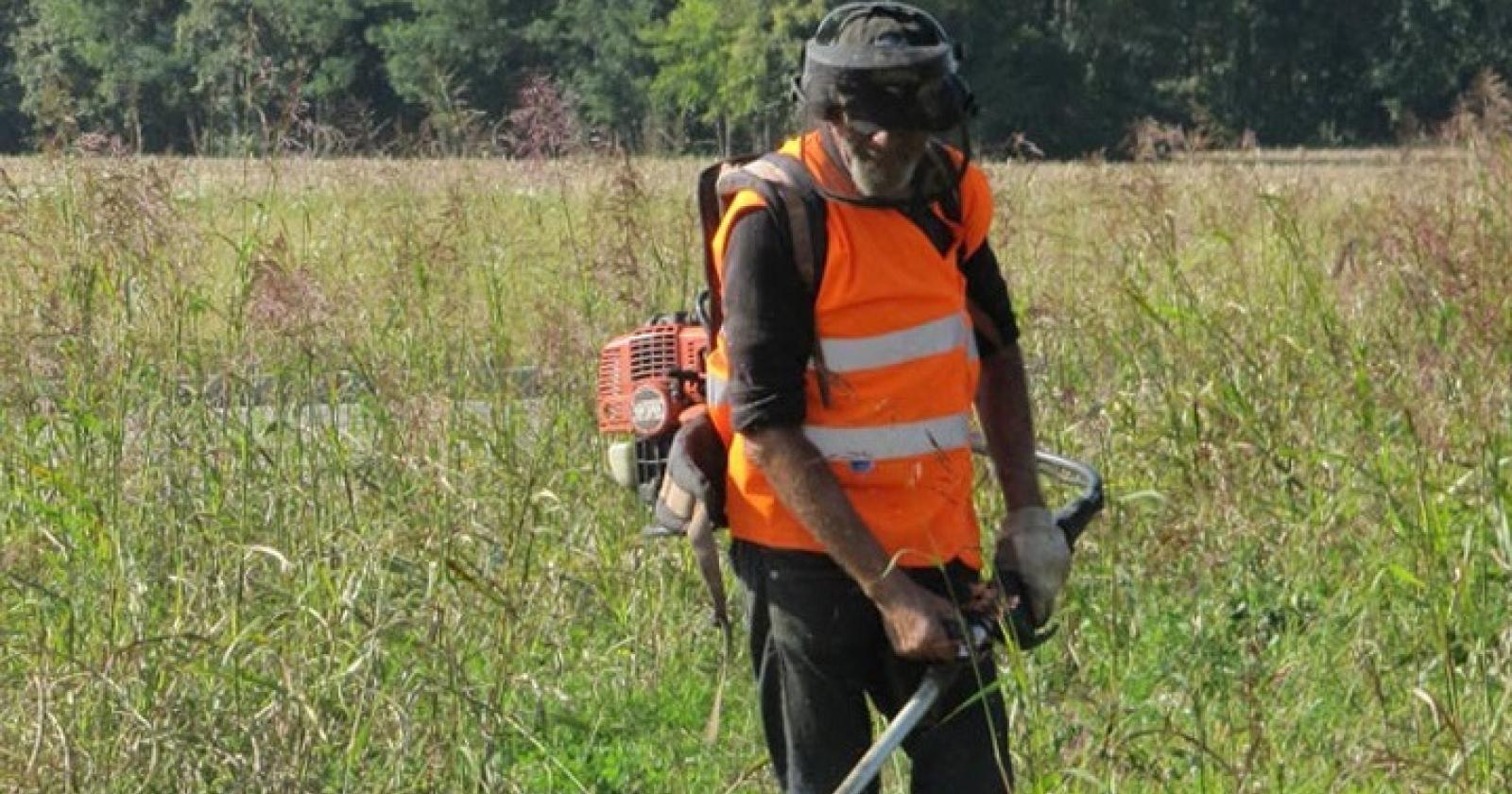“Lo sfalcio dell'erba sarà affidato alle frazioni" 