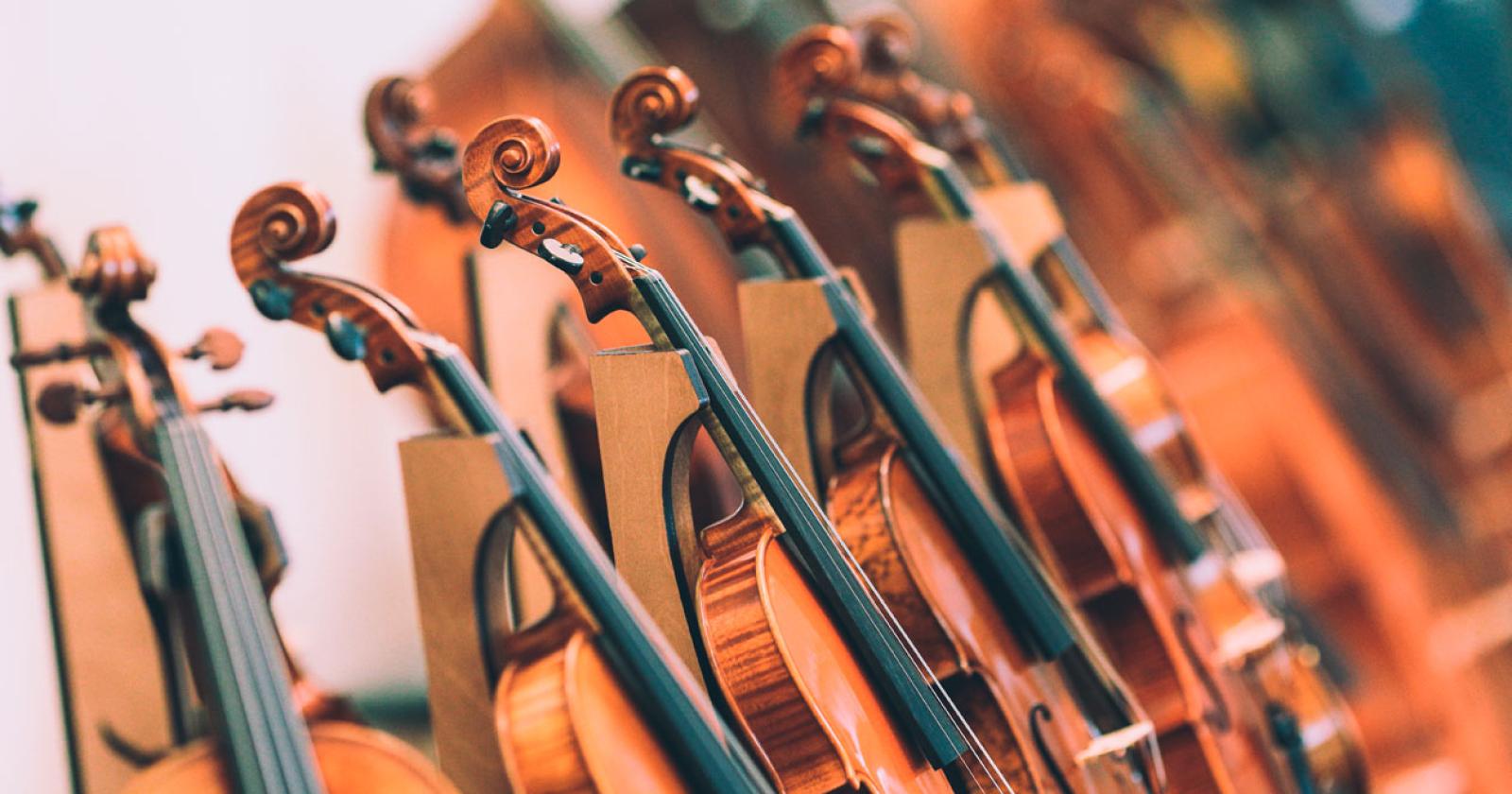 Domenica in concerto i violinisti Solisti dell’Accademia del maestro Bogdanovic 