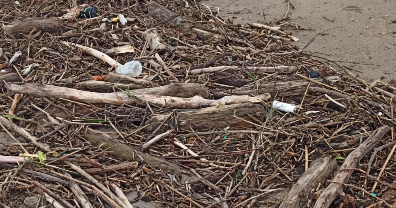 Spiagge ricoperte di detriti dopo la mareggiata
