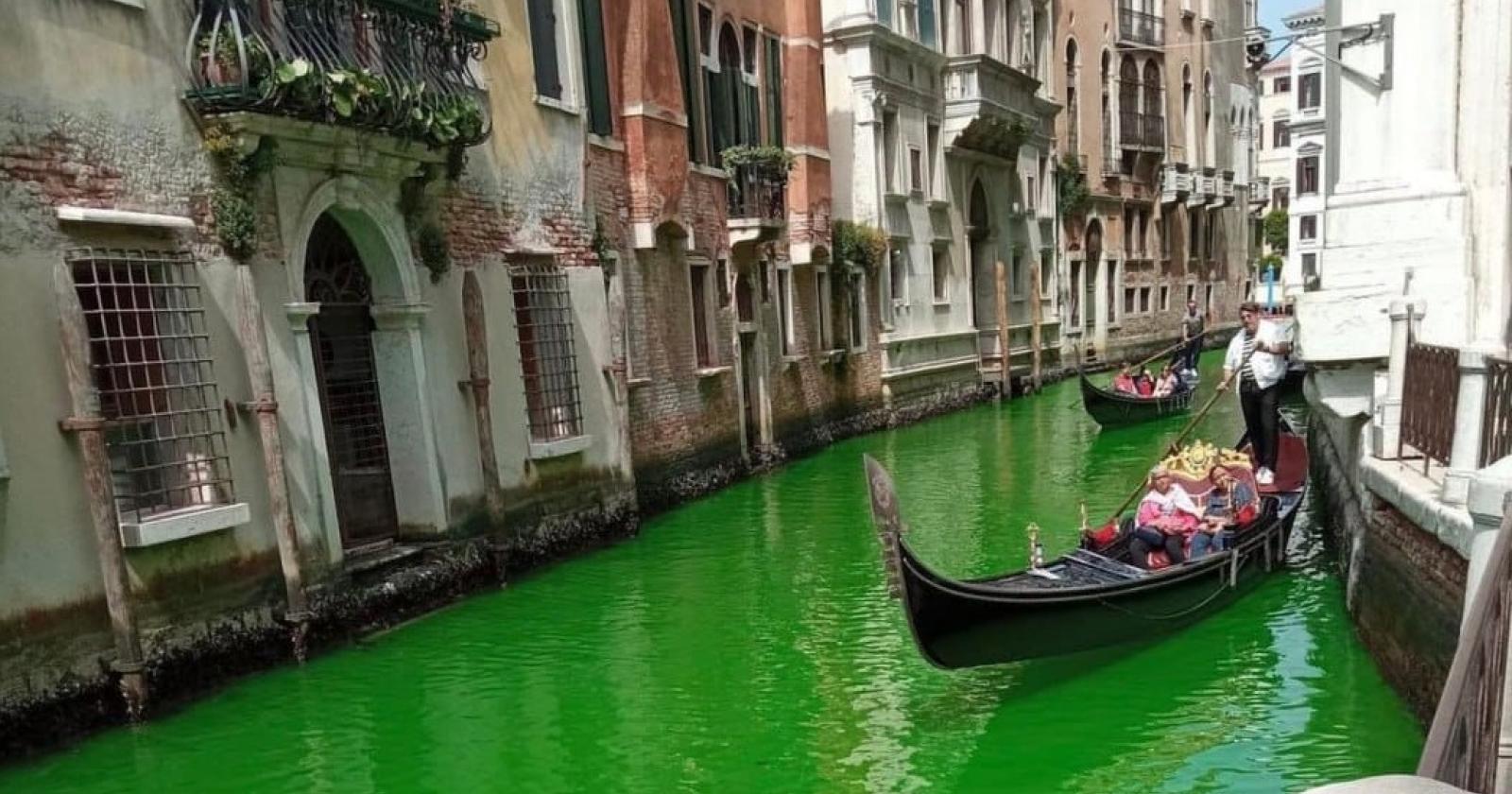 Il Canal Grande diventa verde fluorescente