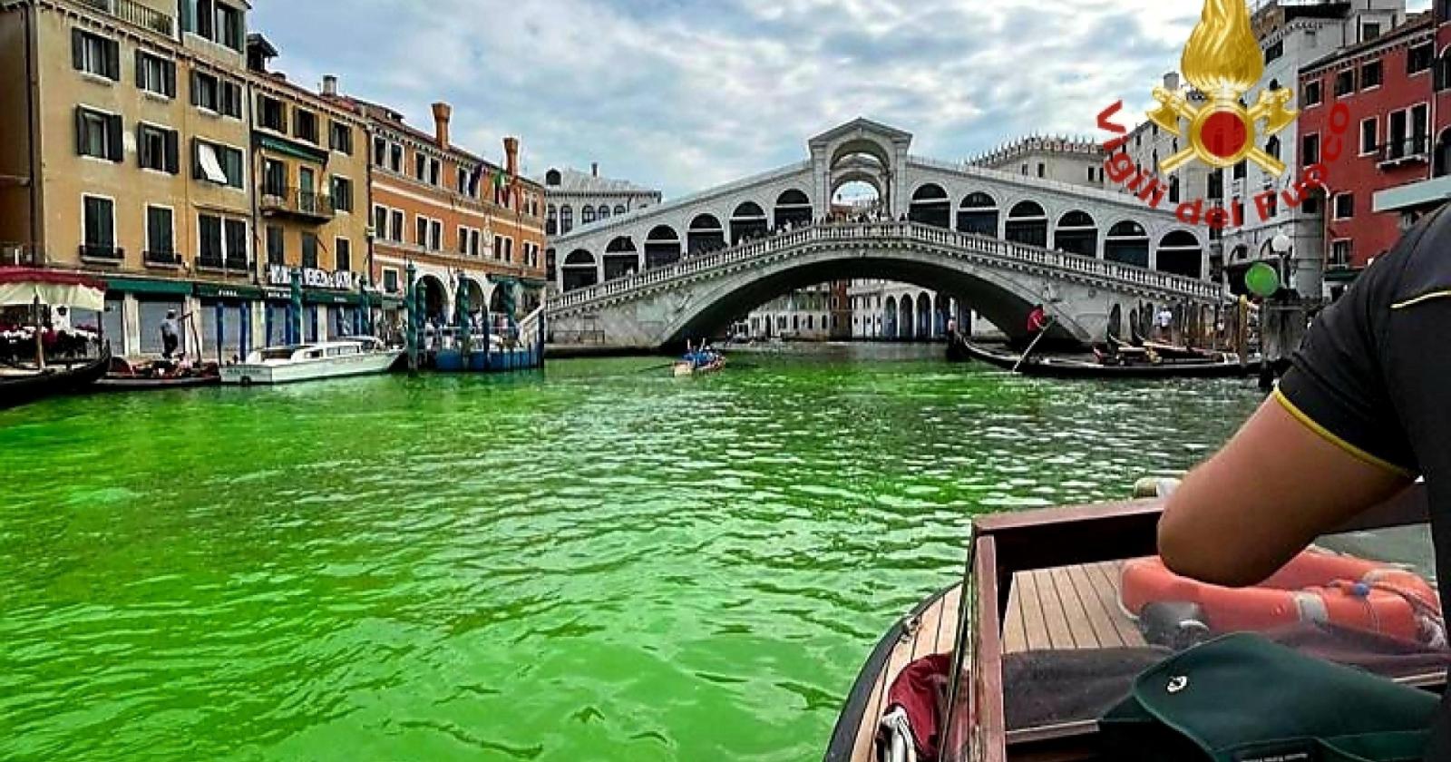 Canal Grande tinto di verde: arriva il Daspo per i responsabili