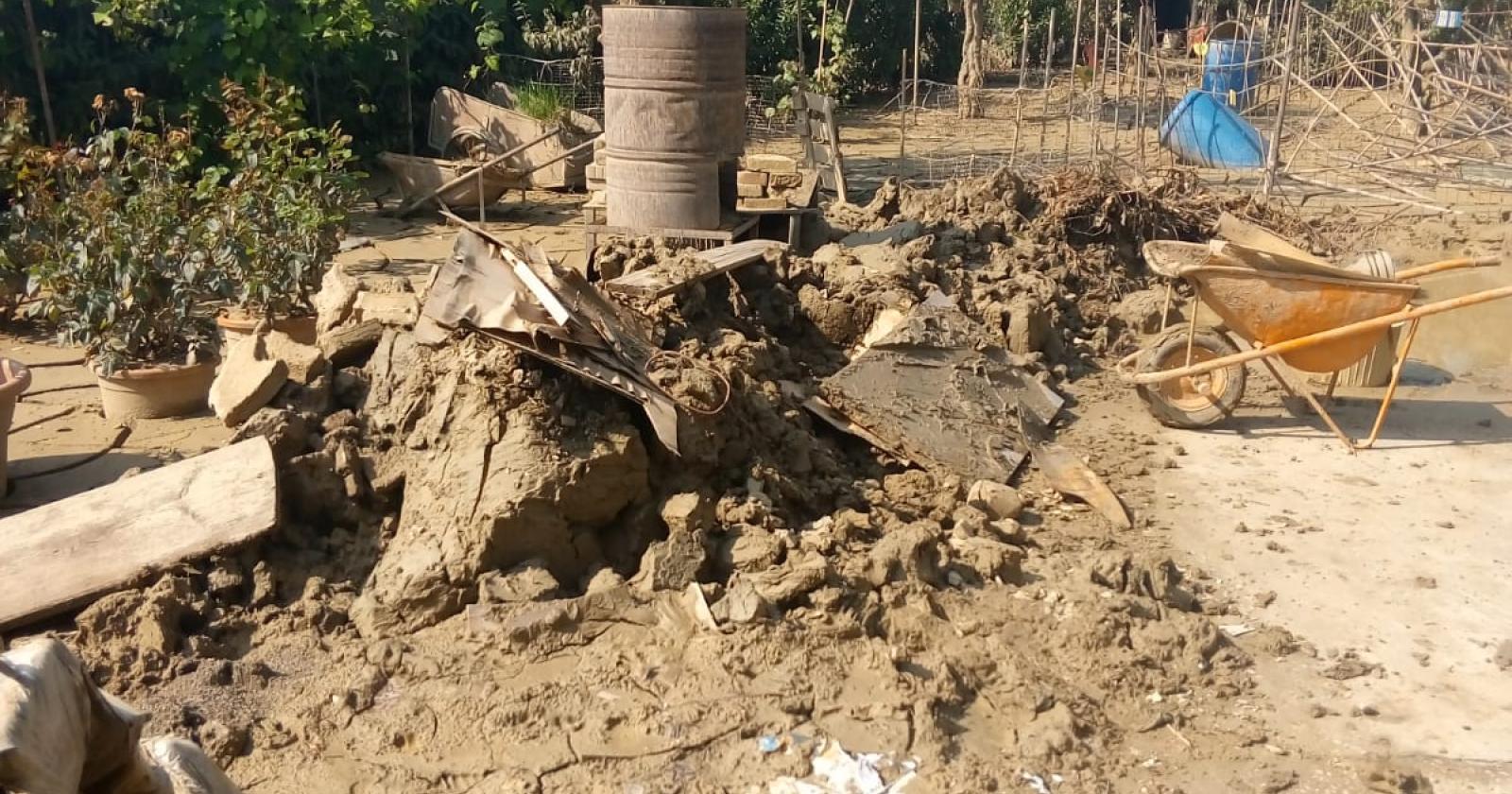 Danni ambientali nel territori,  il bilancio di Amico Giardiniere