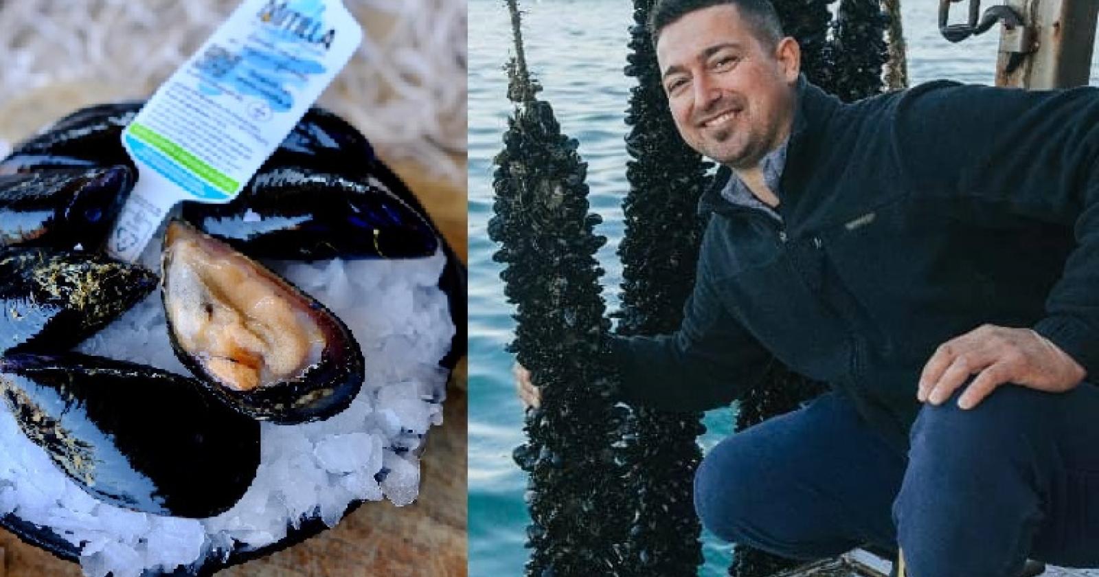 Mitilla, la Cozza di Pellestrina a caccia del record