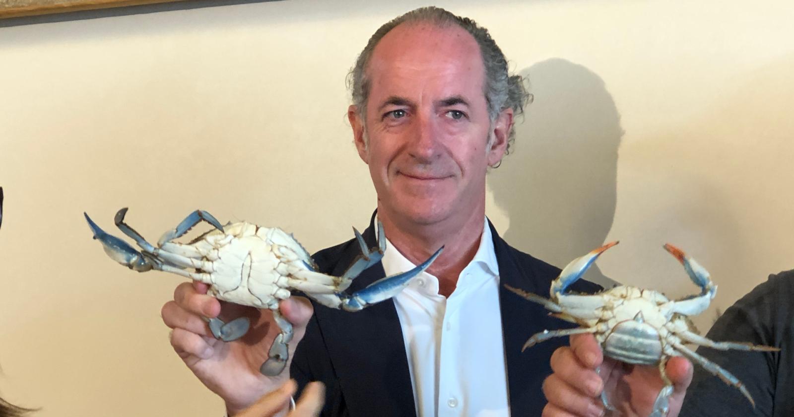 Il granchio blu nemico dei pescatori in conferenza a Venezia