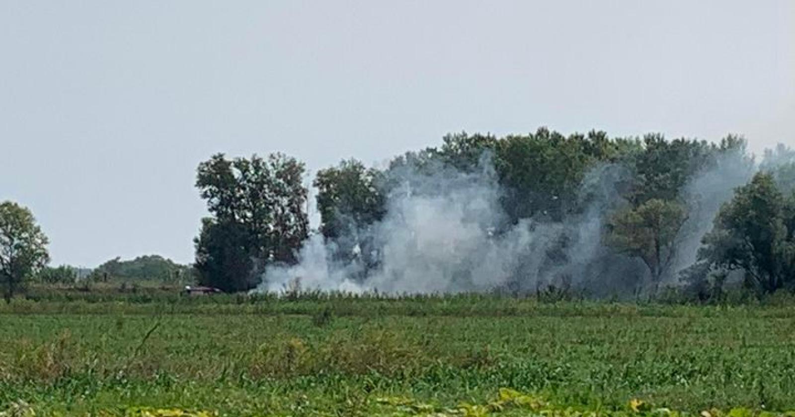 Paura in via Busiola Nord per un incendio di sterpaglie