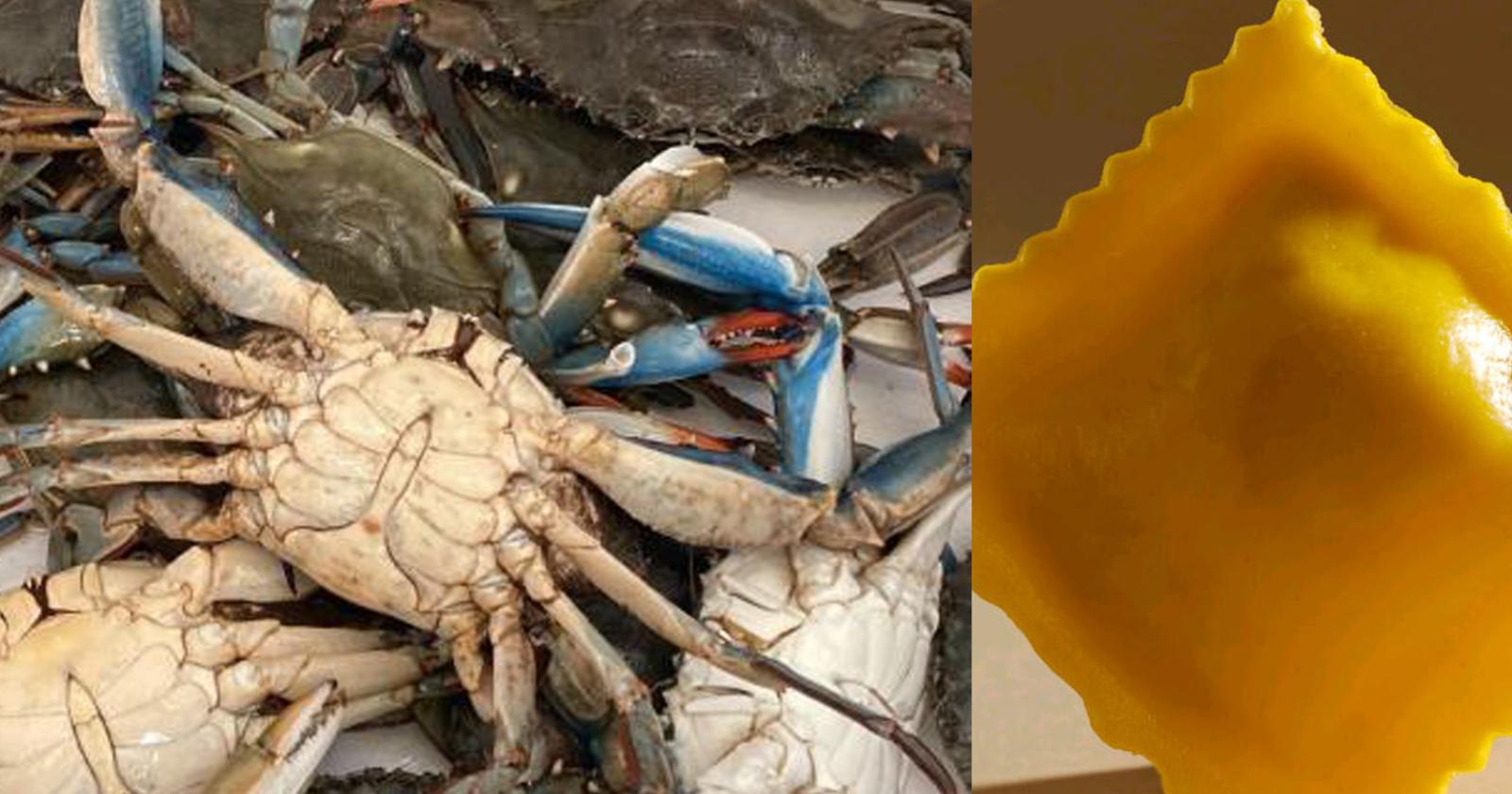 Ravioli di granchio blu pronti per l'export