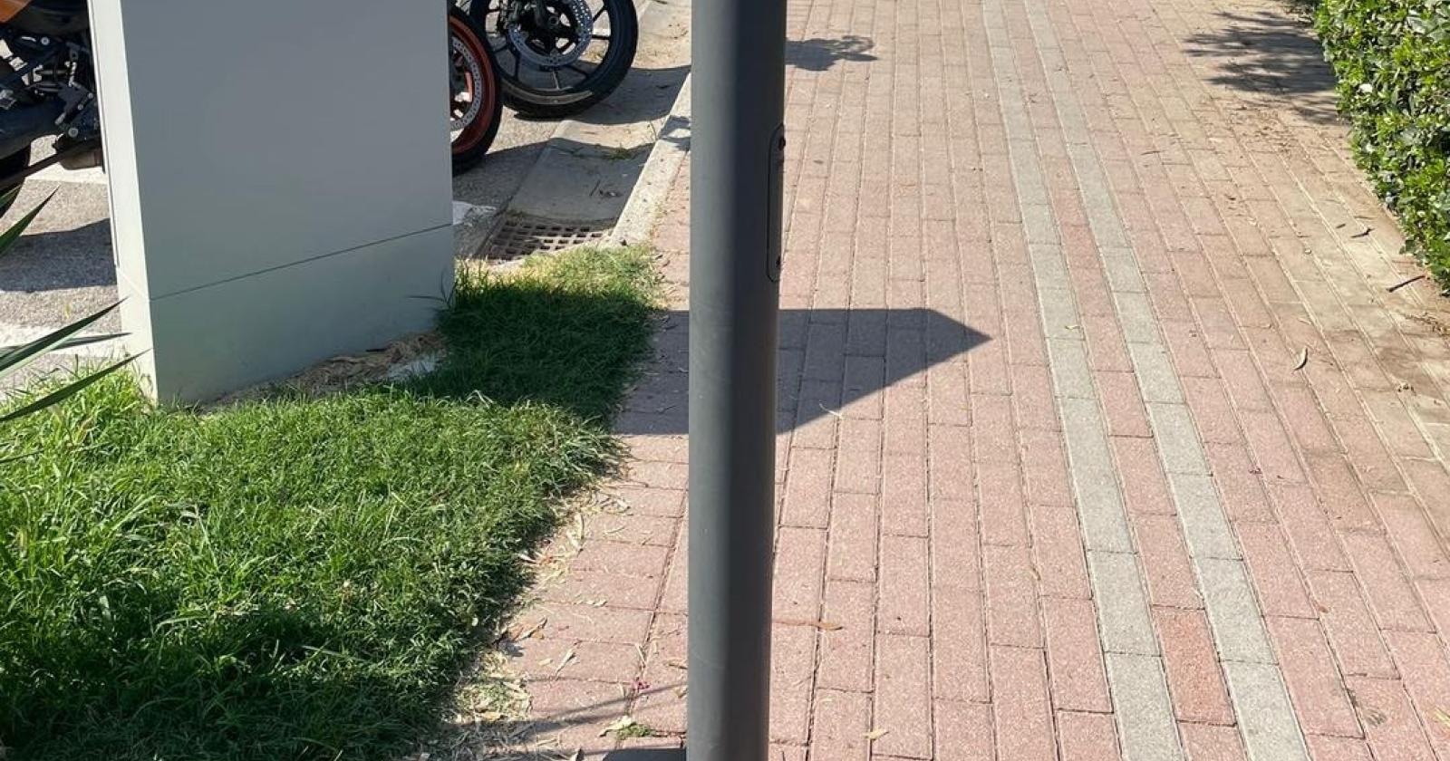 Topi a Sottomarina vecia, potenziata la derattizzazione 