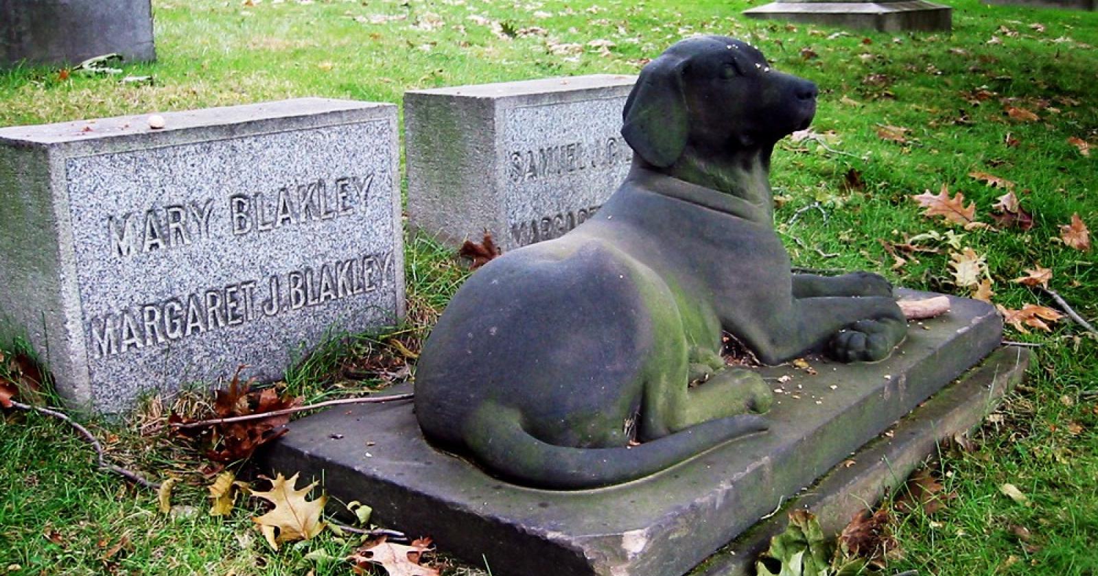 "Lasciatemi seppellire la mia cagnolina nella tomba di famiglia"