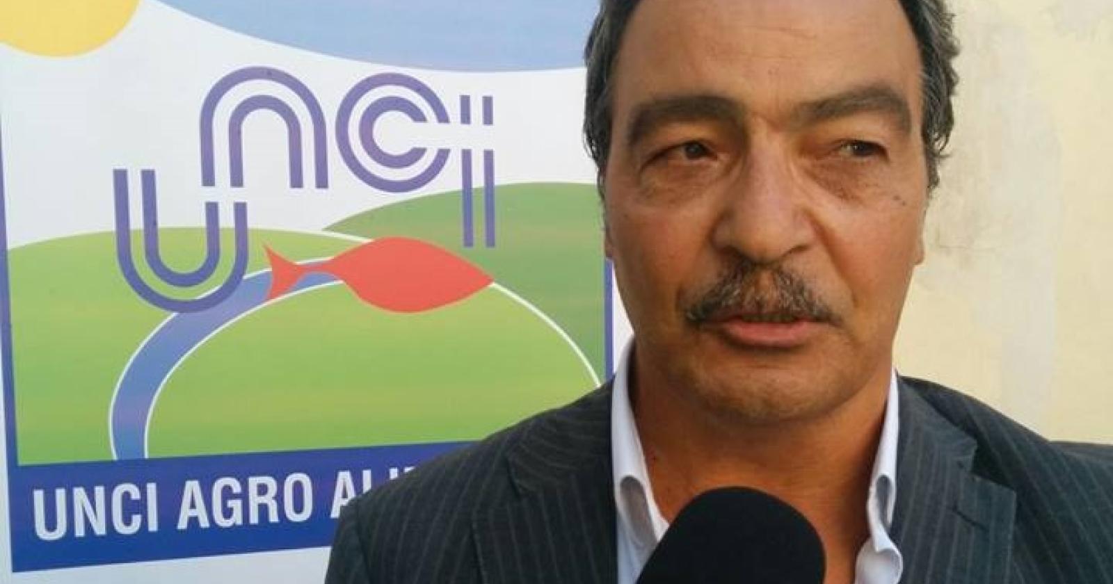 Unci AgroAlimentare elogia i nuovi provvedimenti contro il granchio blu