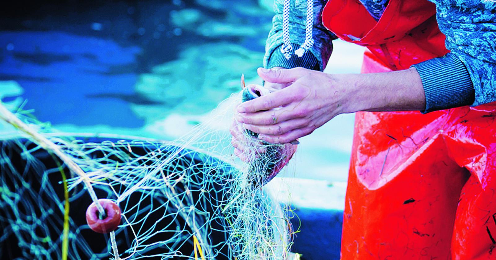 Fermo pesca, indennità tagliate