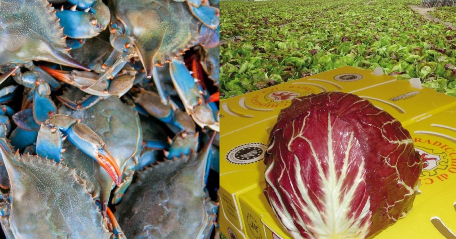 Il radicchio si sposa col granchio