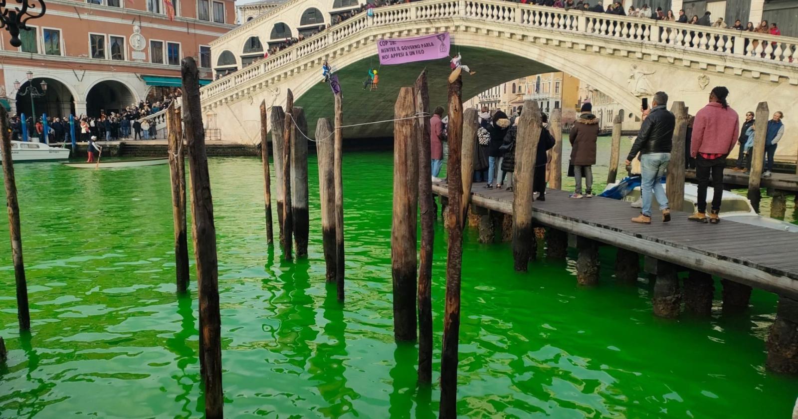 Un altro sfregio a Venezia: acqua verde in Canal Grande 