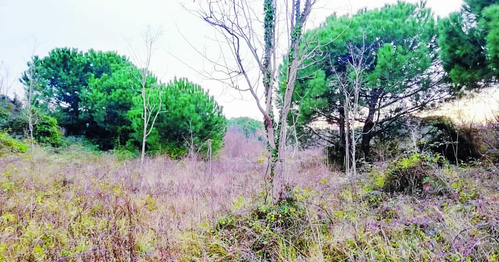 "Sistemate l'ex compendio di Forte San Felice"