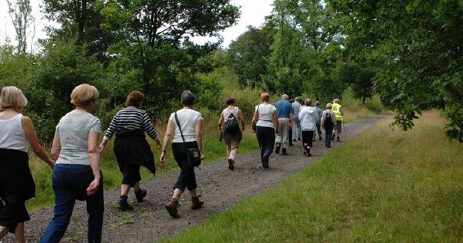 Diabetici in cammino: il 26 aprono le iscrizioni