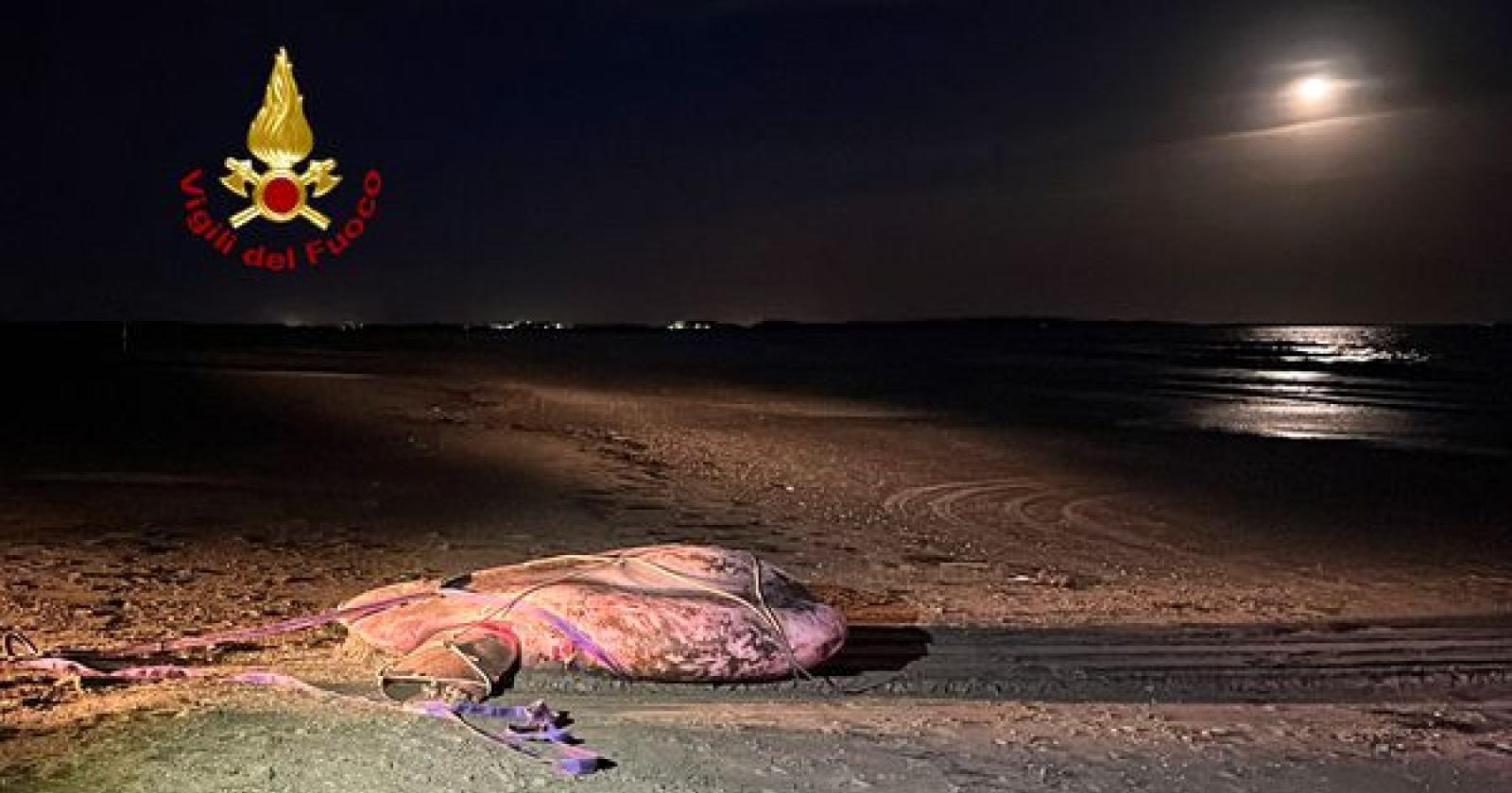 Enorme pesce Luna si spiaggia al Lido