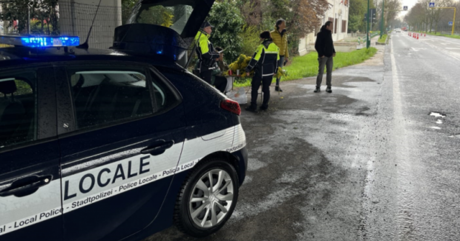 Sequestrati 260 mazzi di mimose vendute abusivamente