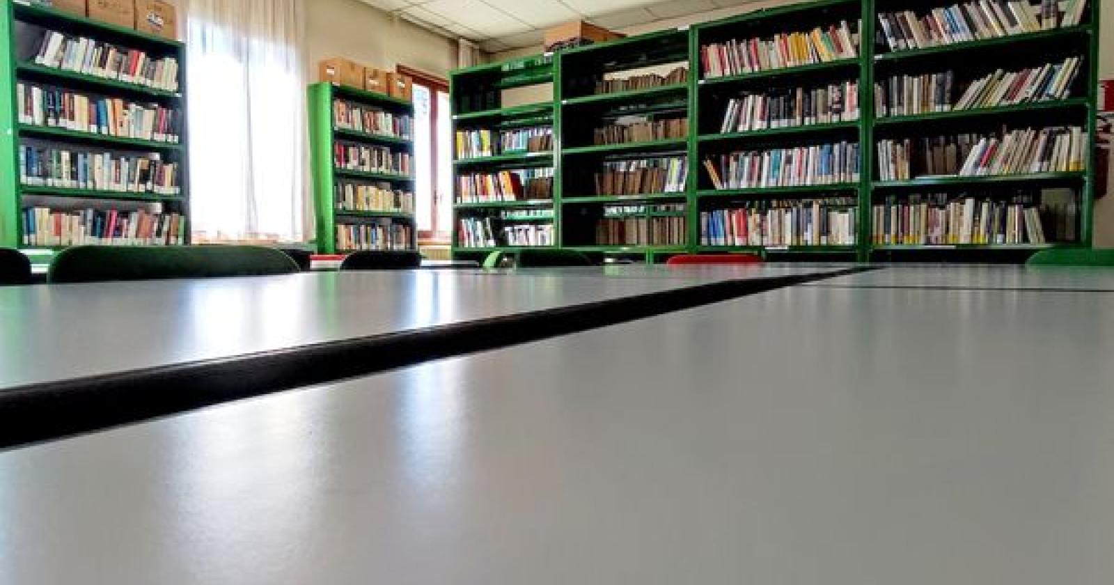 La biblioteca si rinnova 