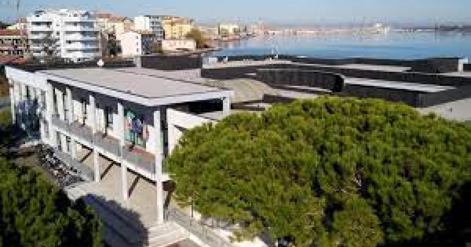 E ora la scuola si colore di verde