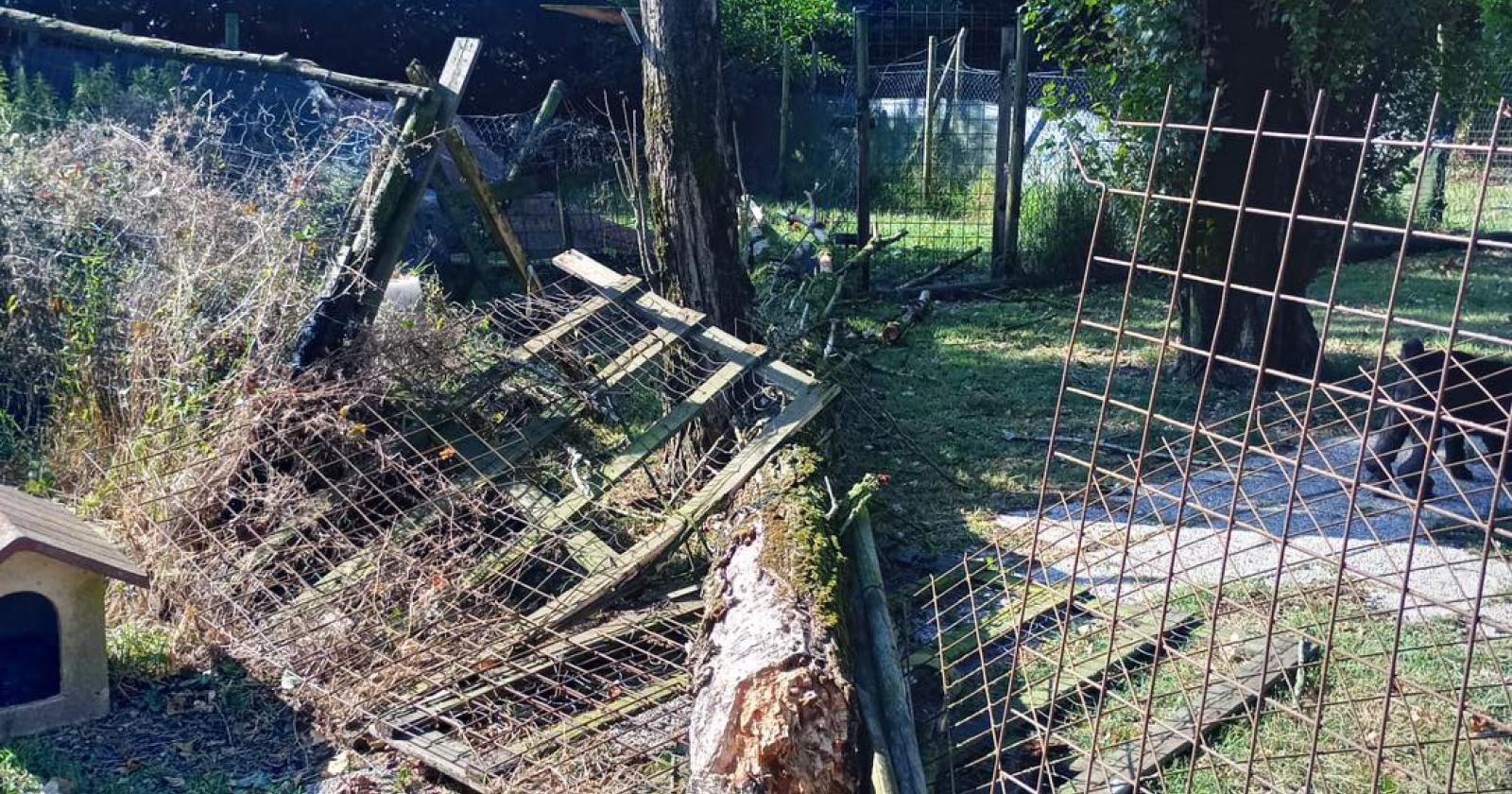 Distrutto il rifugio degli animali