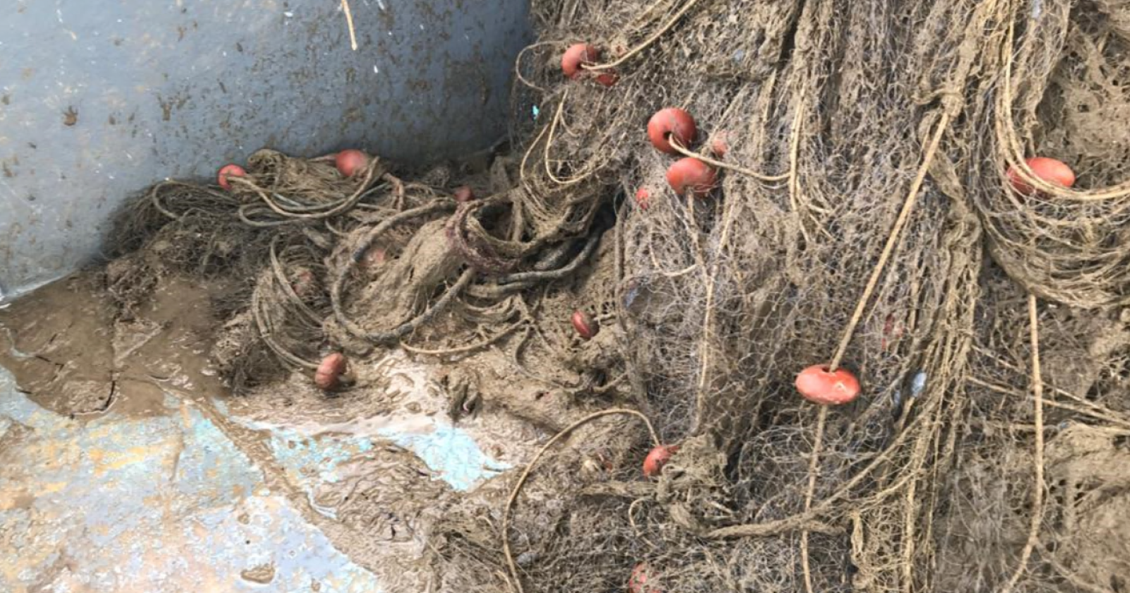La pesca chiede lo stato di calamità