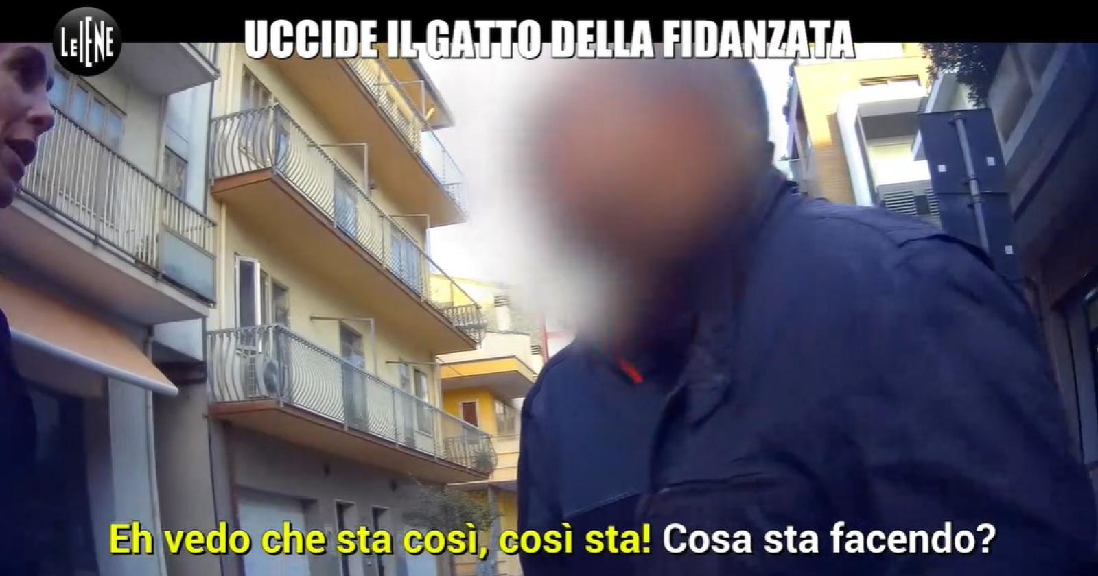 Le Iene a Chioggia per  il drammatico caso del gatto Green 