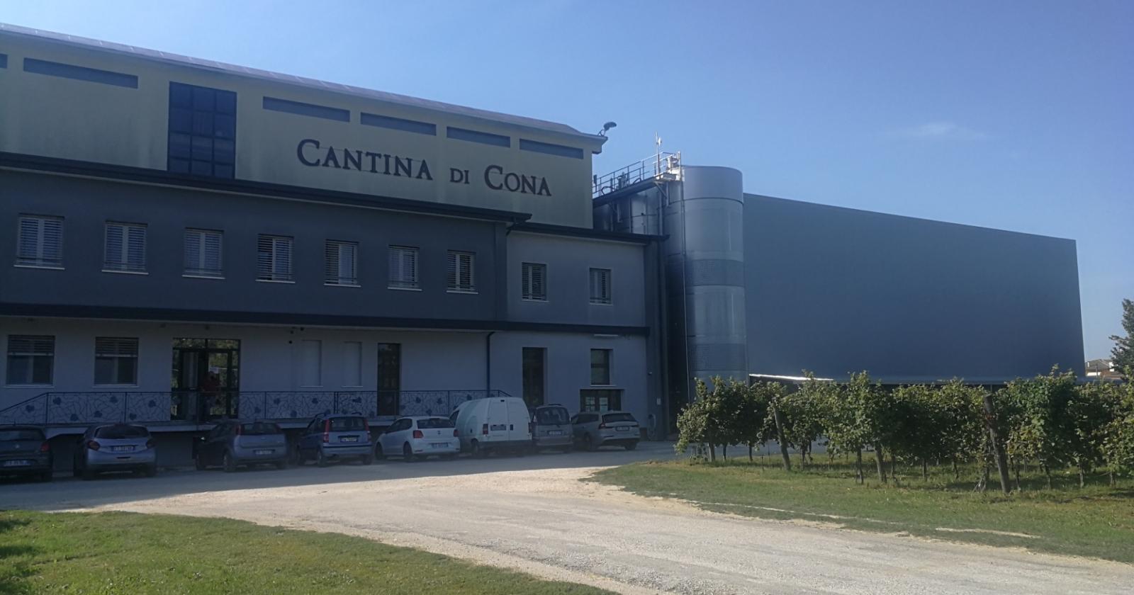 Pinot Grigio delle Venezie, il futuro è meno alcolico