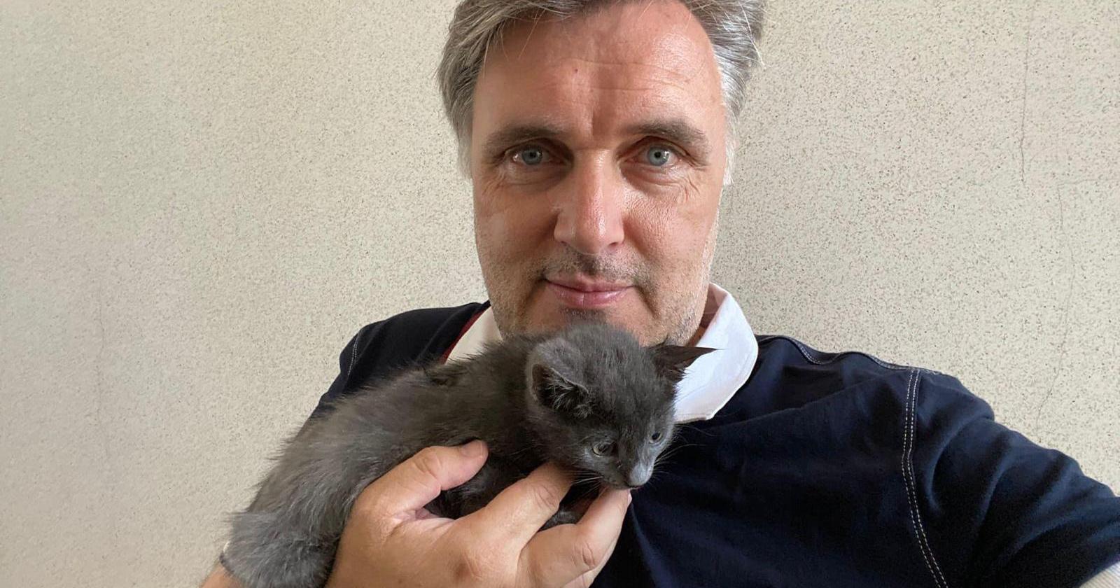 Il nuovo gattile dedicato a Green
