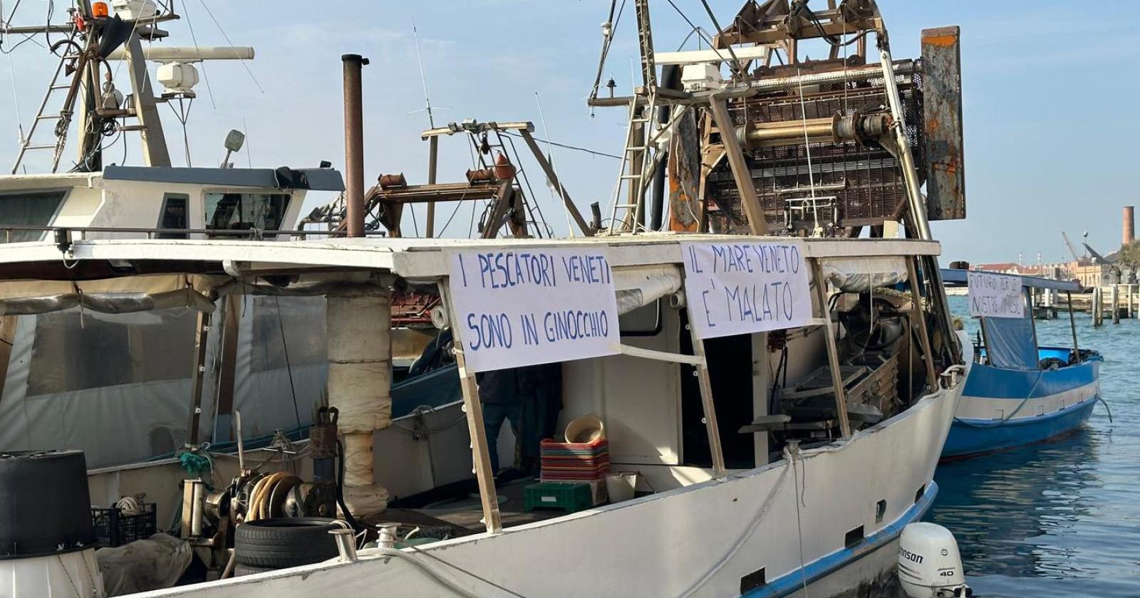 La pesca è ormai al collasso