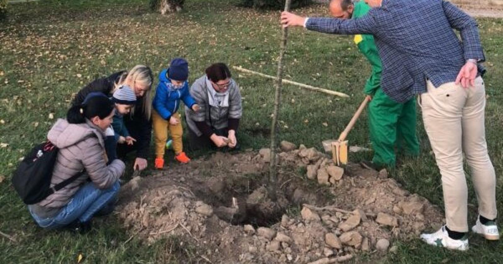 Tanti alberi per le famiglie
