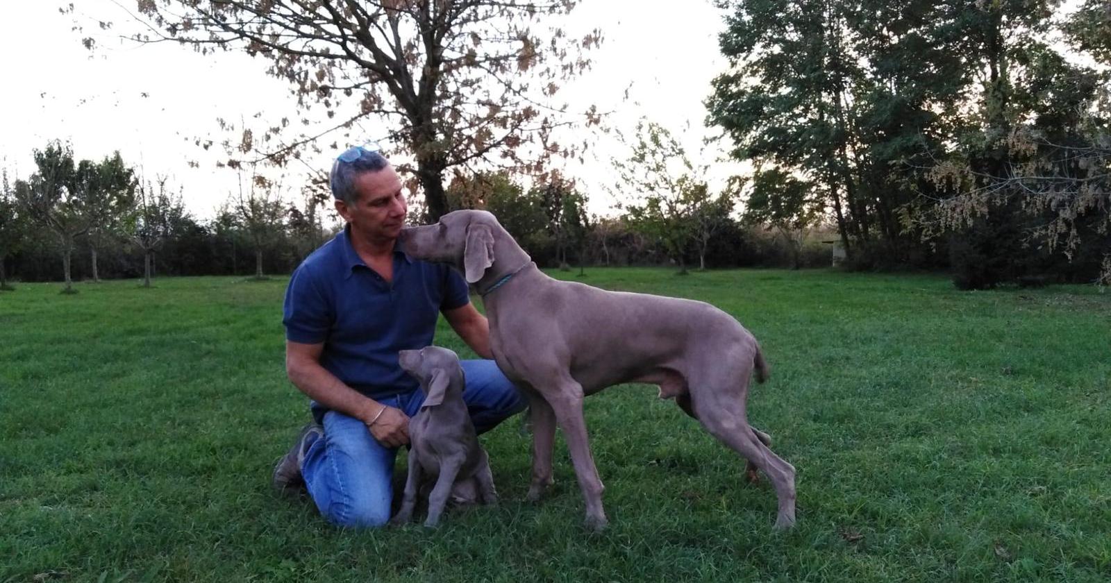 Cani di razza pronti a... volare