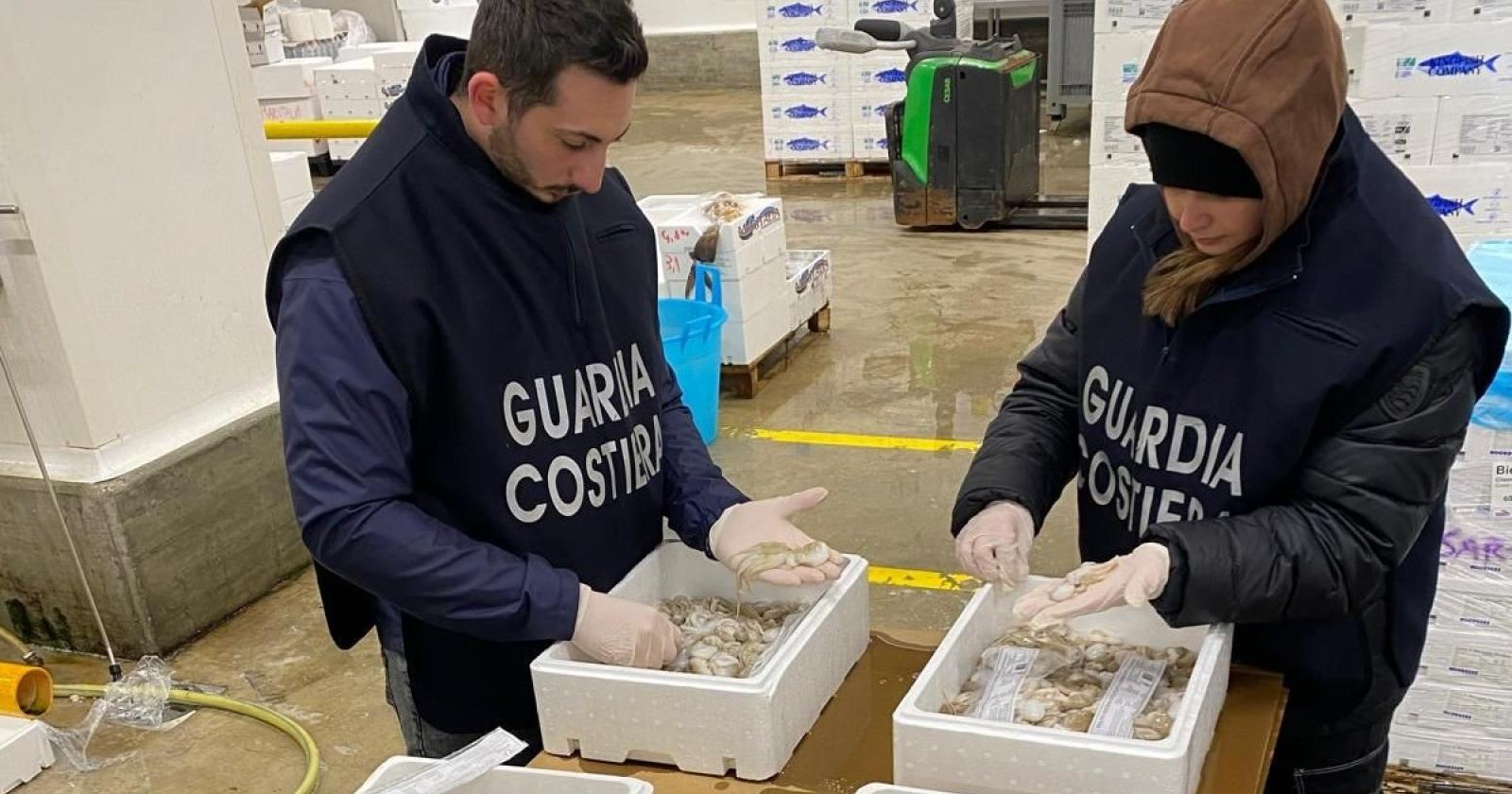 Falsa tracciabilità, scatta il sequestro