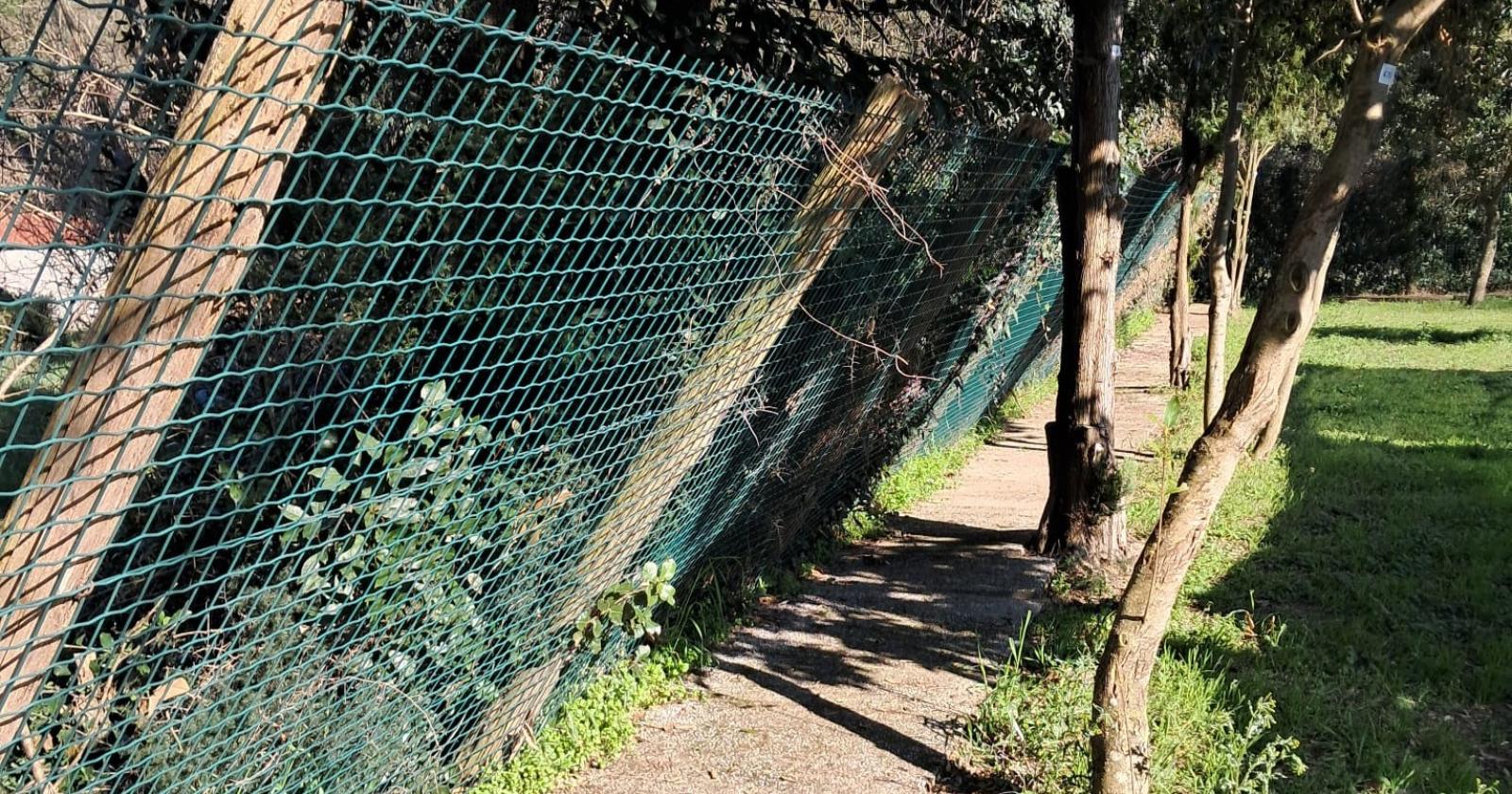 Canile, la recinzione  è pericolante