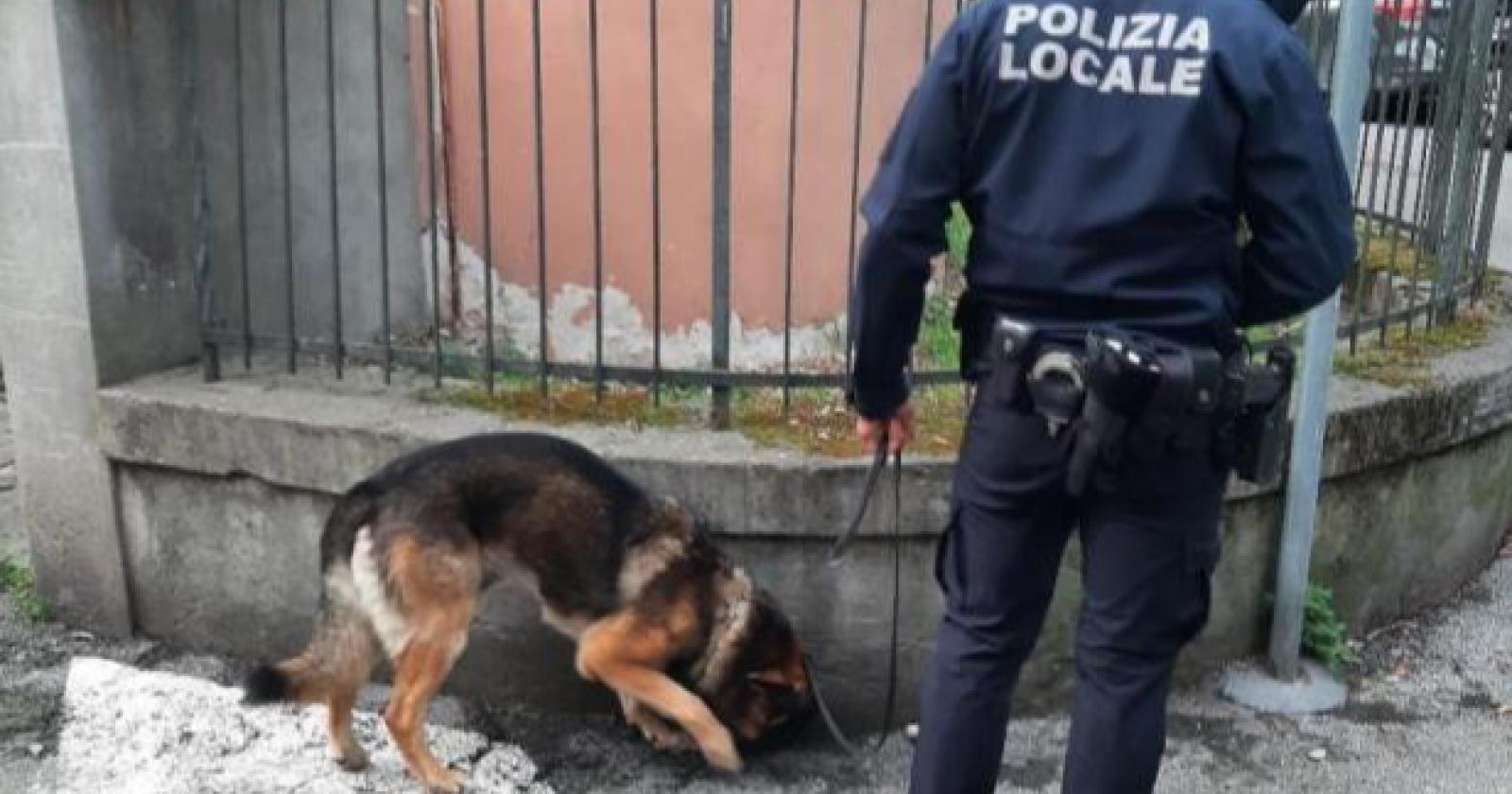 Oltre 400 grammi di droga sequestrati: