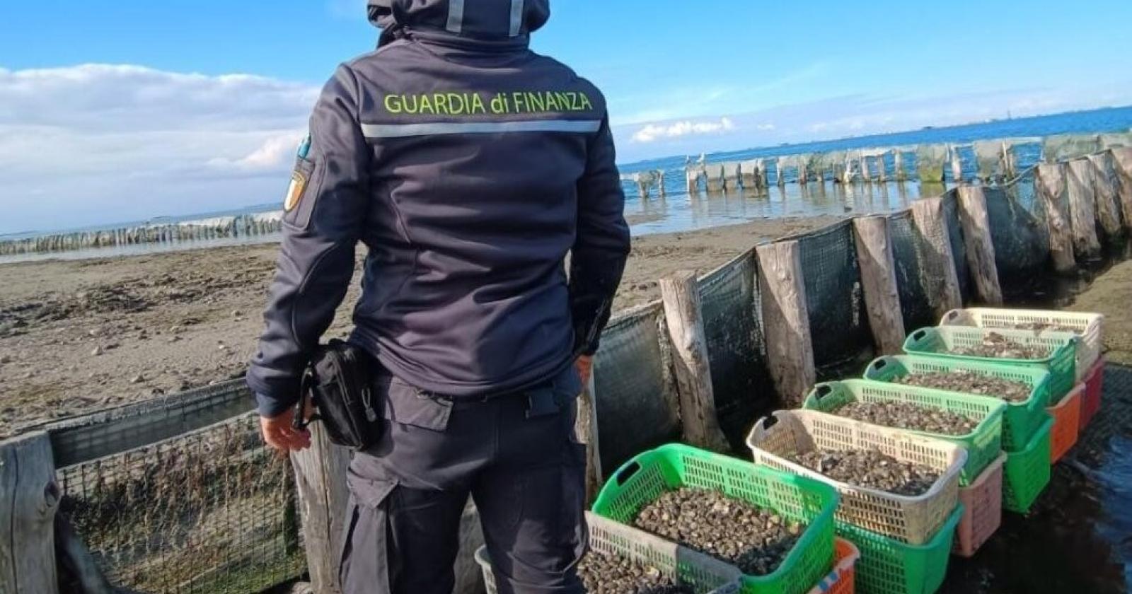 Tre tonnellate di vongole fuori legge