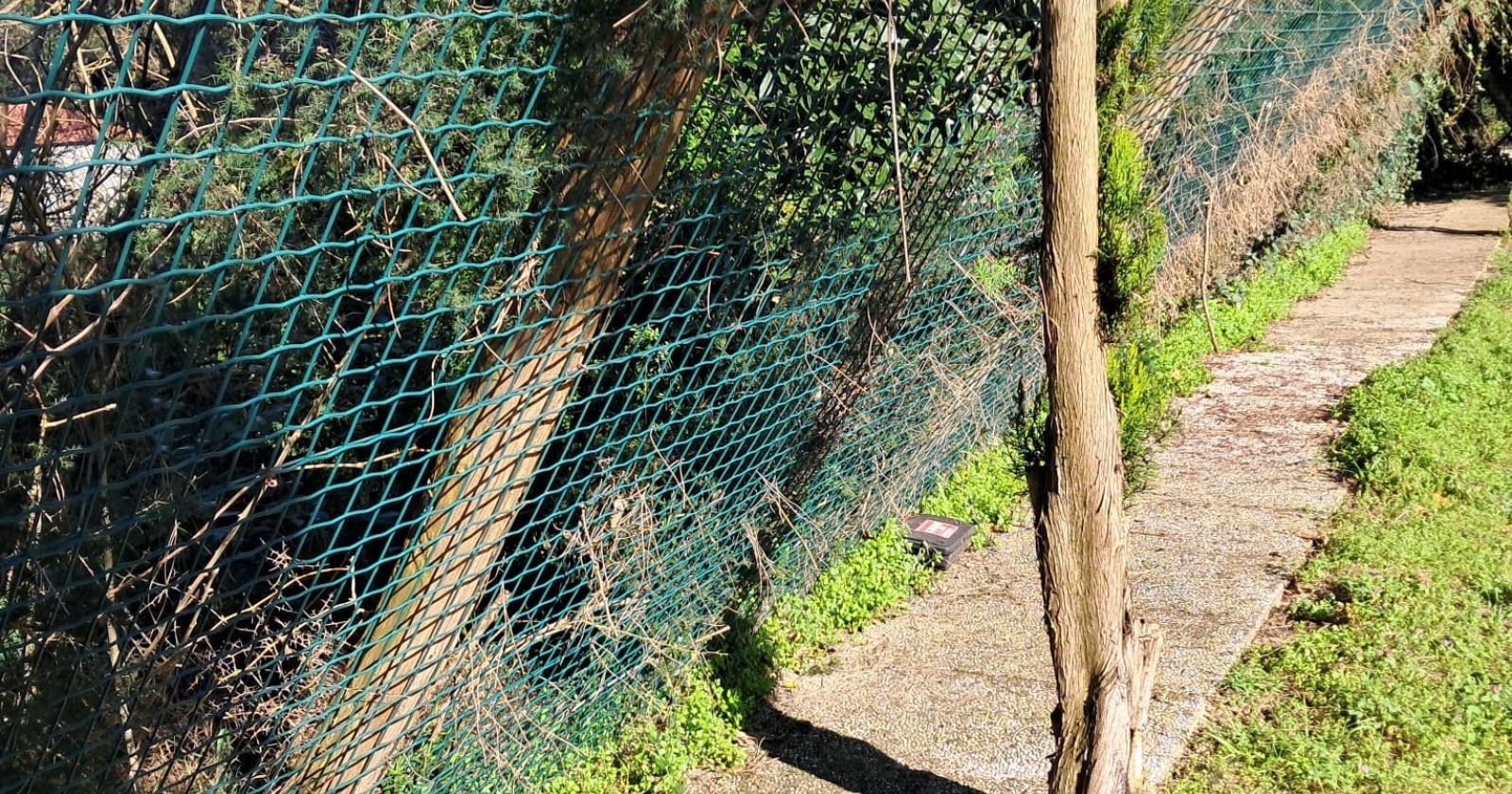 Canile: “Animali a rischio fuga”