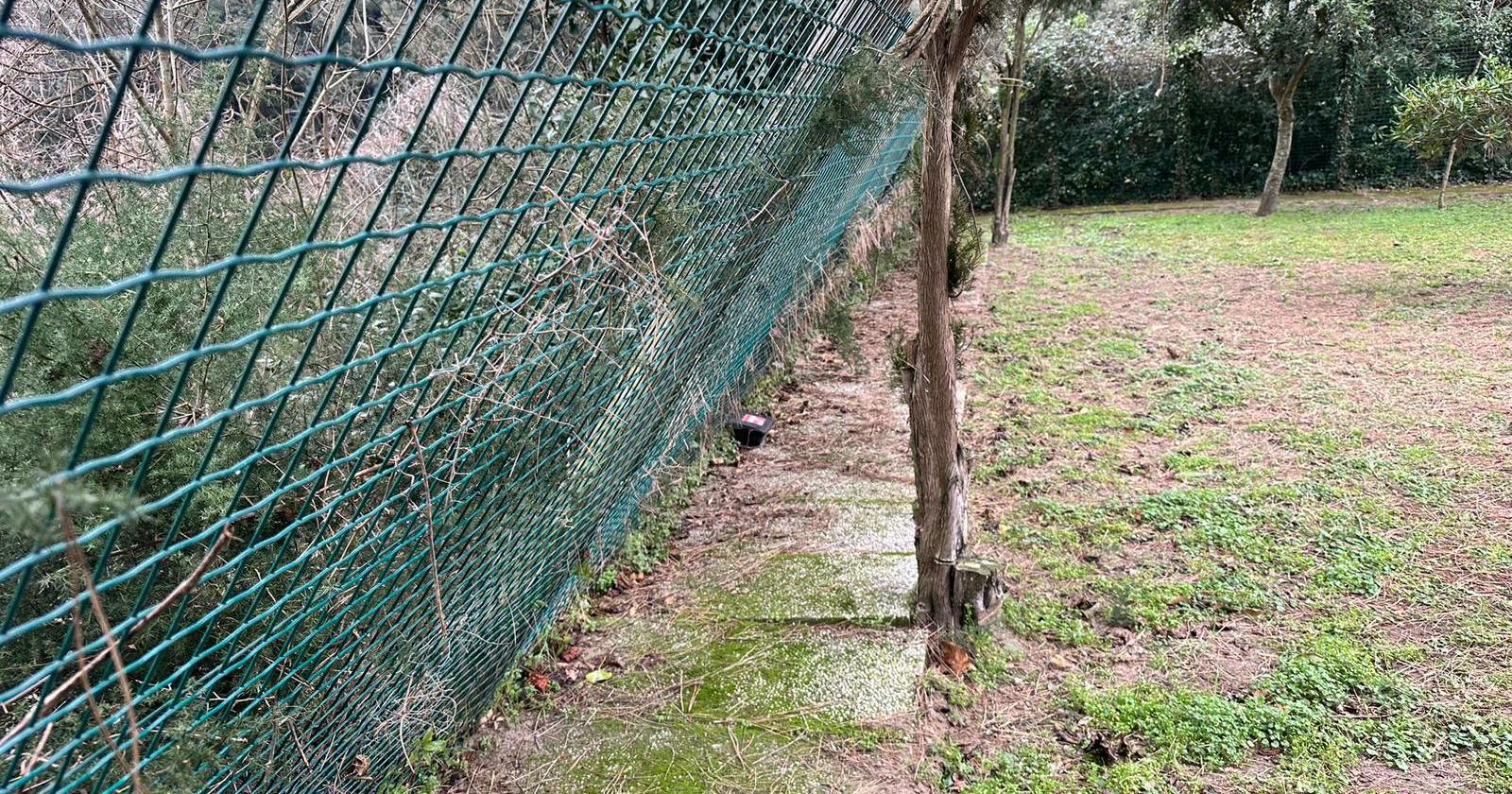 Canile, arriva la recinzione