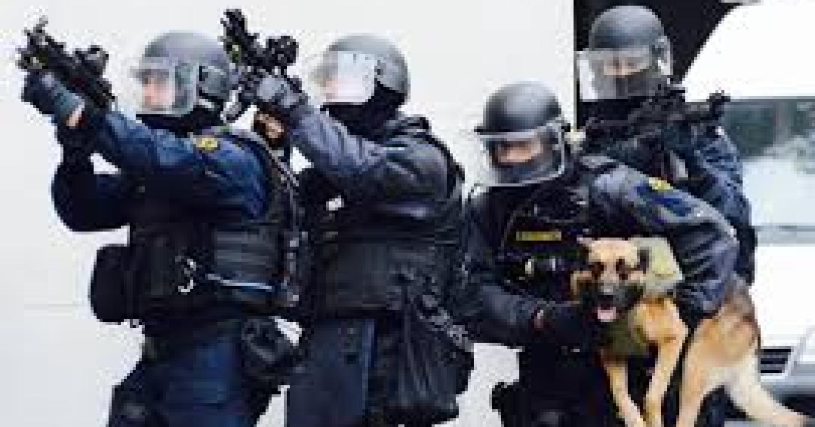 Massiccio spiegamento di forze: operazione antiterrorismo al porto