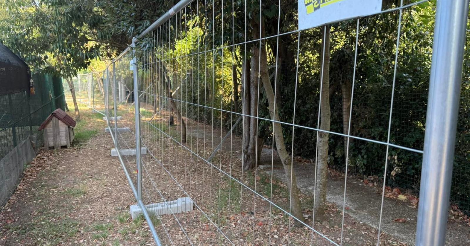 Sicurezza, via a i lavori del canile