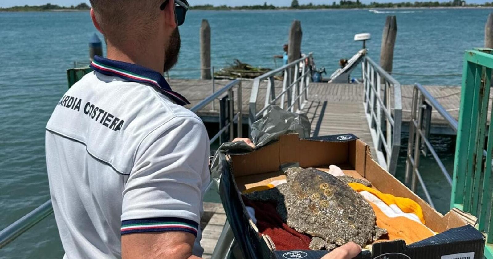 Salvataggio in mare: la tartaruga Caretta caretta torna a nuotare grazie alla sinergia tra bagnini e scienziati