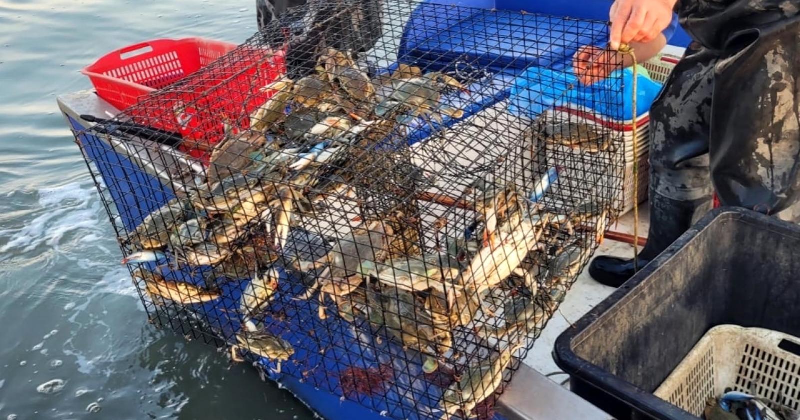 Pesca italiana sotto assedio