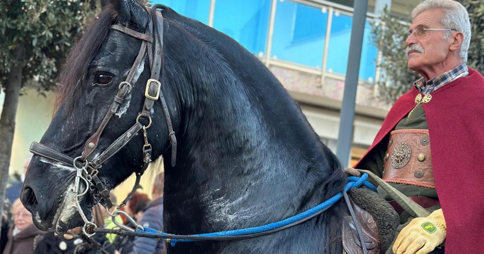 Tutti in festa per San Martino